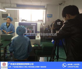 凌志營銷策劃 花都區(qū)畫冊設(shè)計(jì)與網(wǎng)絡(luò)信息安全軟件開發(fā)的優(yōu)質(zhì)融合